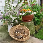 De Verdun Hotel Sommedieue