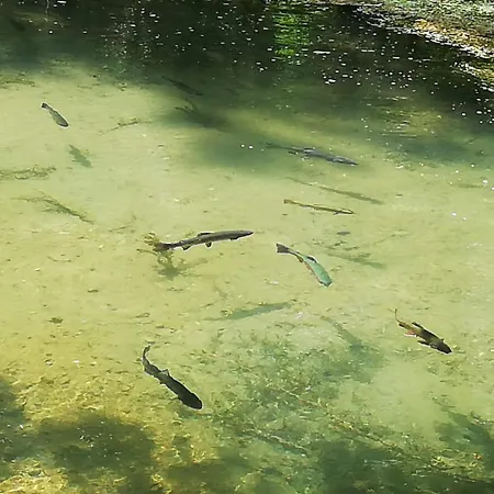 De Verdun Otel Sommedieue