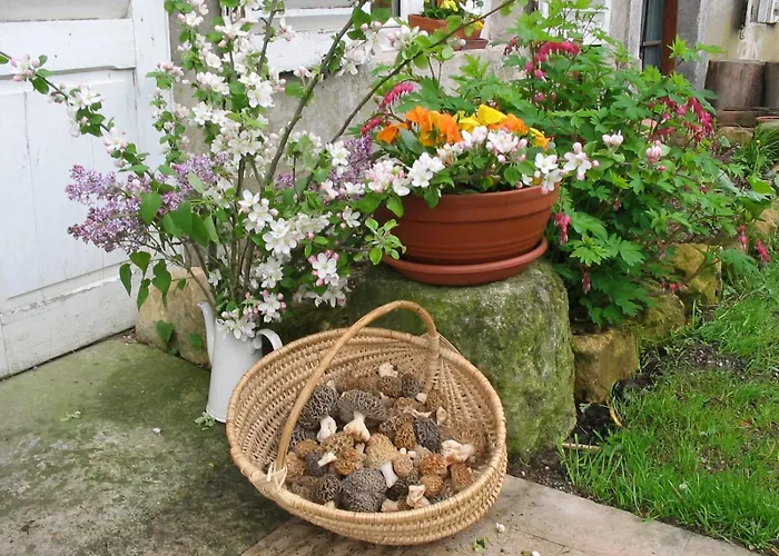 De Verdun מלון Sommedieue