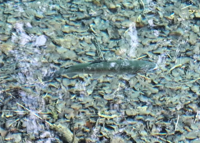 De Verdun מלון Sommedieue